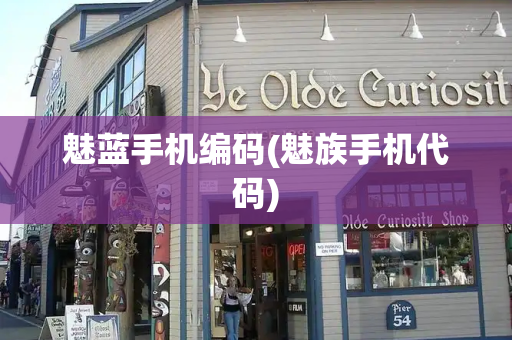 魅蓝手机编码(魅族手机代码)