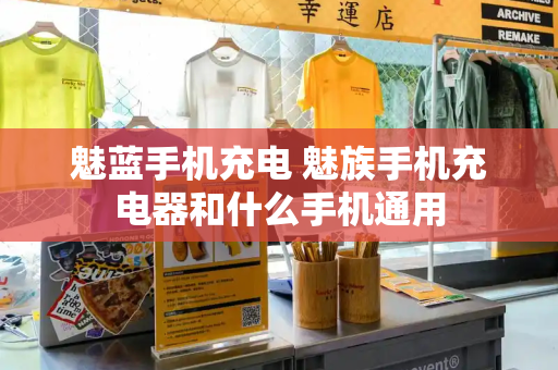 魅蓝手机充电 魅族手机充电器和什么手机通用-第1张图片-星选测评