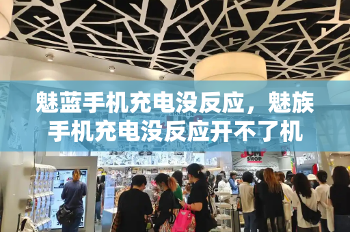 魅蓝手机充电没反应，魅族手机充电没反应开不了机-第1张图片-星选测评