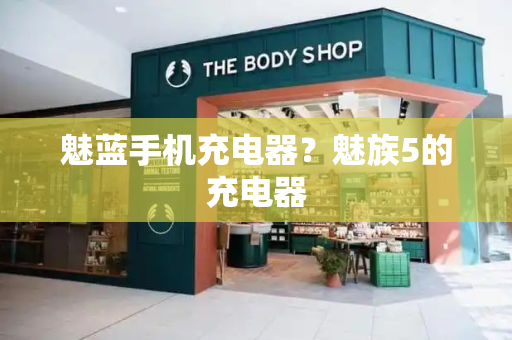 魅蓝手机充电器？魅族5的充电器