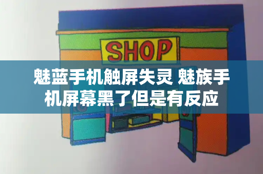 魅蓝手机触屏失灵 魅族手机屏幕黑了但是有反应-第1张图片-星选测评