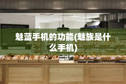 魅蓝手机的功能(魅族是什么手机)