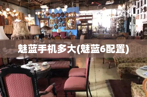 魅蓝手机多大(魅蓝6配置)-第1张图片-星选测评