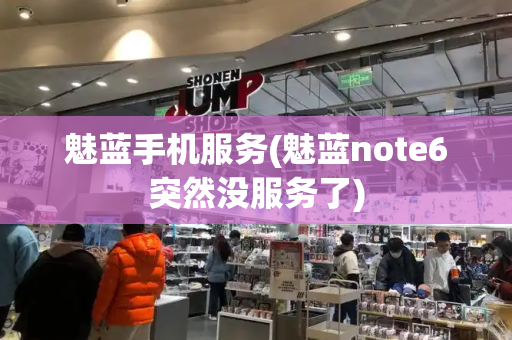 魅蓝手机服务(魅蓝note6突然没服务了)