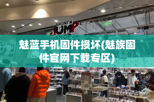 魅蓝手机固件损坏(魅族固件官网下载专区)