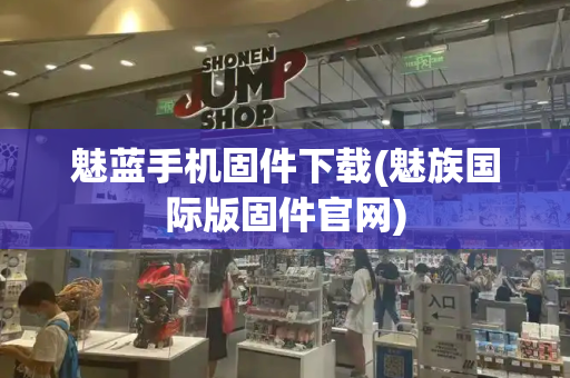 魅蓝手机固件下载(魅族国际版固件官网)
