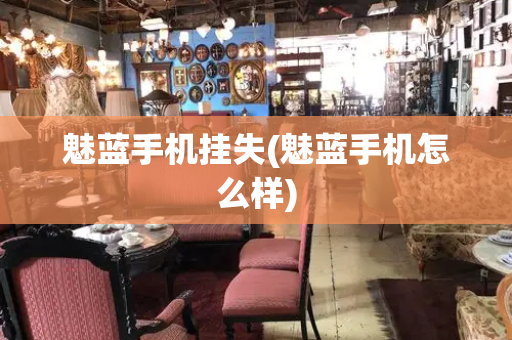 魅蓝手机挂失(魅蓝手机怎么样)