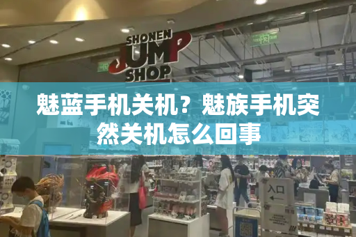 魅蓝手机关机？魅族手机突然关机怎么回事-第1张图片-星选测评