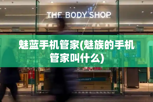 魅蓝手机管家(魅族的手机管家叫什么)