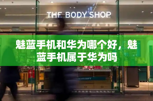 魅蓝手机和华为哪个好，魅蓝手机属于华为吗-第1张图片-星选测评