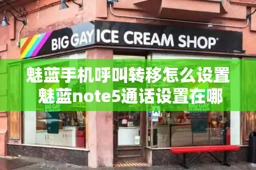 魅蓝手机呼叫转移怎么设置 魅蓝note5通话设置在哪