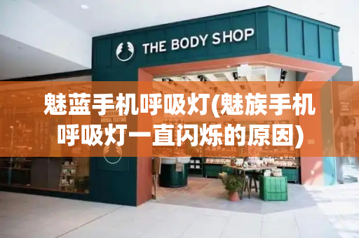 魅蓝手机呼吸灯(魅族手机呼吸灯一直闪烁的原因)-第1张图片-星选测评
