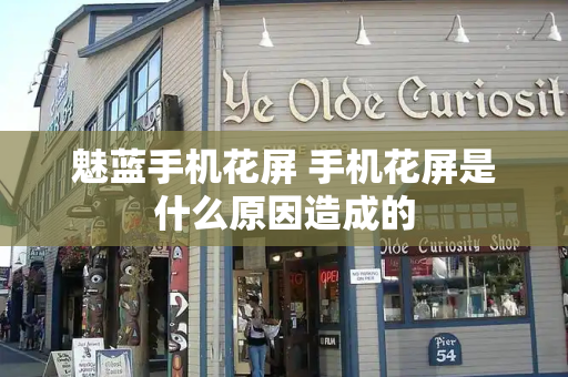 魅蓝手机花屏 手机花屏是什么原因造成的