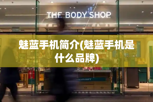 魅蓝手机简介(魅蓝手机是什么品牌)