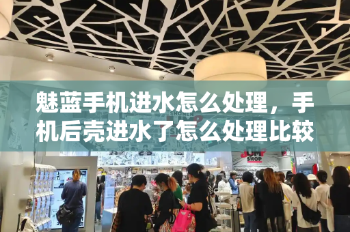 魅蓝手机进水怎么处理，手机后壳进水了怎么处理比较好