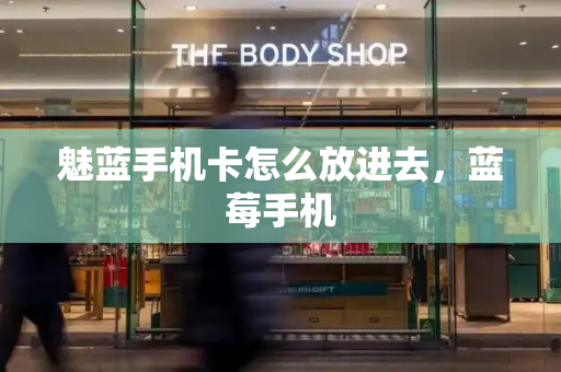 魅蓝手机卡怎么放进去，蓝莓手机