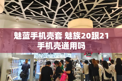 魅蓝手机壳套 魅族20跟21手机壳通用吗-第1张图片-星选测评