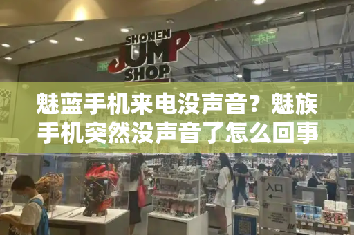 魅蓝手机来电没声音？魅族手机突然没声音了怎么回事-第1张图片-星选测评