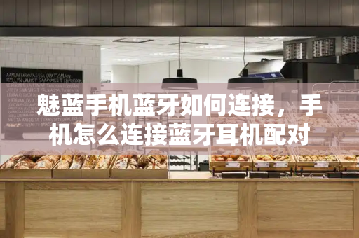 魅蓝手机蓝牙如何连接，手机怎么连接蓝牙耳机配对-第1张图片-星选测评