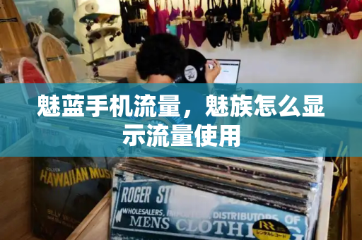 魅蓝手机流量，魅族怎么显示流量使用