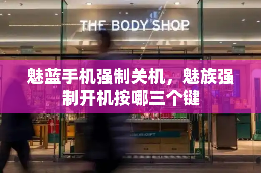 魅蓝手机强制关机，魅族强制开机按哪三个键-第1张图片-星选测评