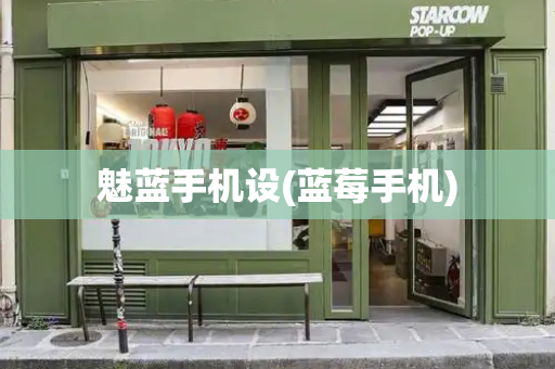 魅蓝手机设(蓝莓手机)-第1张图片-星选测评