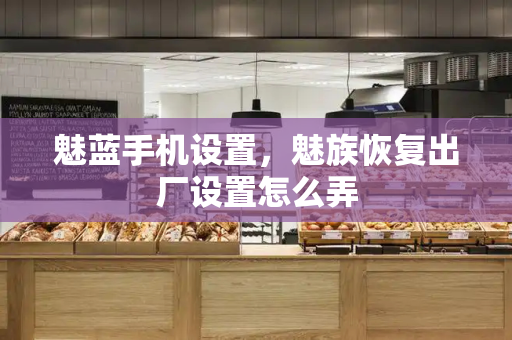 魅蓝手机设置，魅族恢复出厂设置怎么弄-第1张图片-星选测评