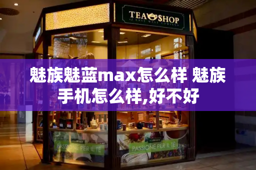 魅族魅蓝max怎么样 魅族手机怎么样,好不好-第1张图片-星选测评