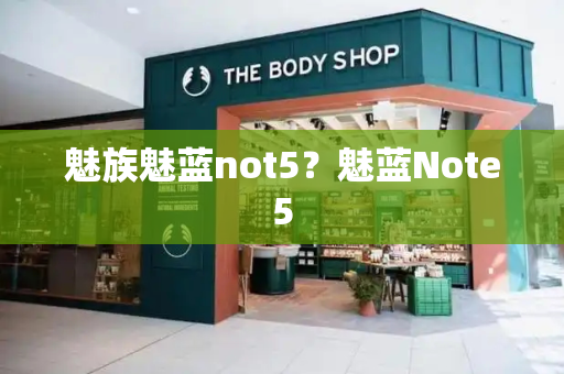 魅族魅蓝not5？魅蓝Note5-第1张图片-星选测评