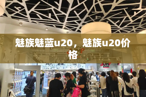 魅族魅蓝u20，魅族u20价格-第1张图片-星选测评