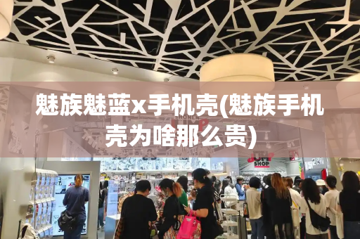 魅族魅蓝x手机壳(魅族手机壳为啥那么贵)-第1张图片-星选测评