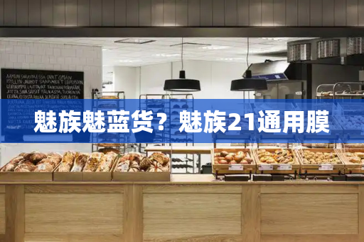 魅族魅蓝货？魅族21通用膜