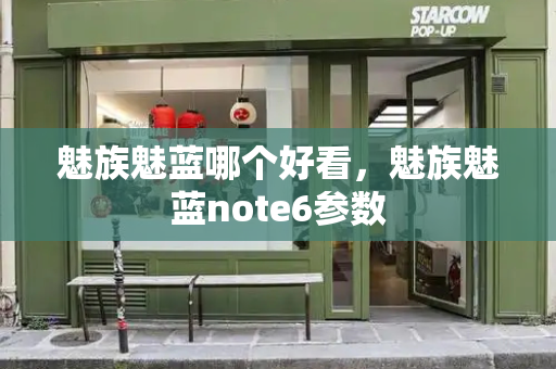魅族魅蓝哪个好看，魅族魅蓝note6参数-第1张图片-星选测评