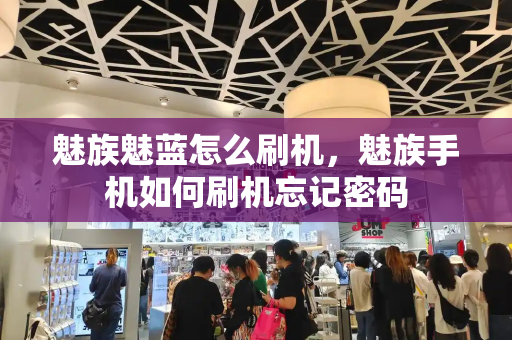 魅族魅蓝怎么刷机，魅族手机如何刷机忘记密码