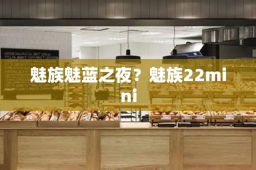 魅族魅蓝之夜？魅族22mini