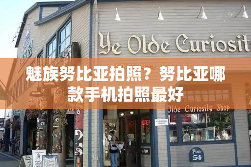 魅族努比亚拍照？努比亚哪款手机拍照最好-第1张图片-星选测评
