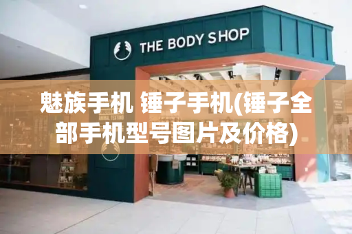 魅族手机 锤子手机(锤子全部手机型号图片及价格)-第1张图片-星选测评