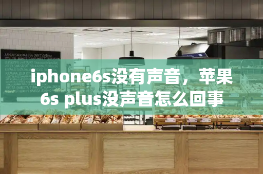 iphone6s没有声音，苹果6s plus没声音怎么回事