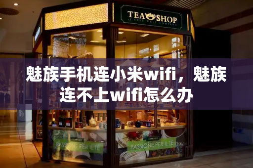 魅族手机连小米wifi，魅族连不上wifi怎么办-第1张图片-星选测评