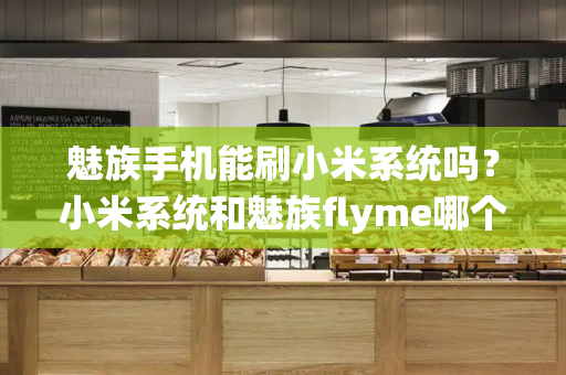 魅族手机能刷小米系统吗？小米系统和魅族flyme哪个好