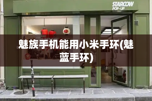 魅族手机能用小米手环(魅蓝手环)-第1张图片-星选测评