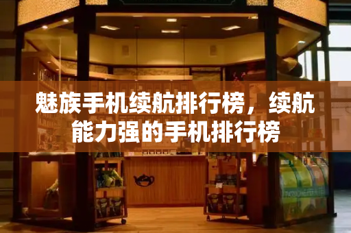 魅族手机续航排行榜，续航能力强的手机排行榜-第1张图片-星选测评