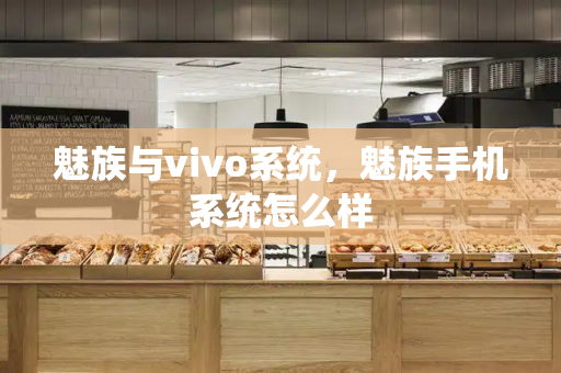 魅族与vivo系统，魅族手机系统怎么样-第1张图片-星选测评