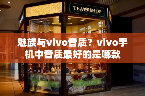 魅族与vivo音质？vivo手机中音质最好的是哪款
