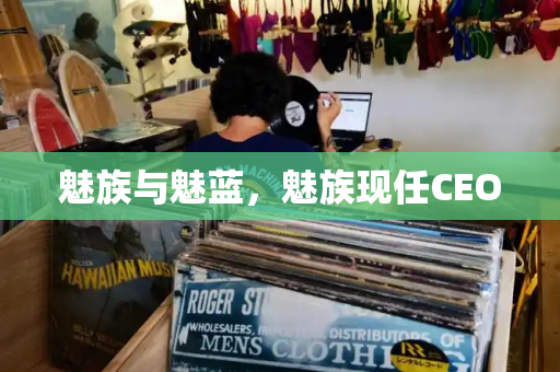 魅族与魅蓝，魅族现任CEO