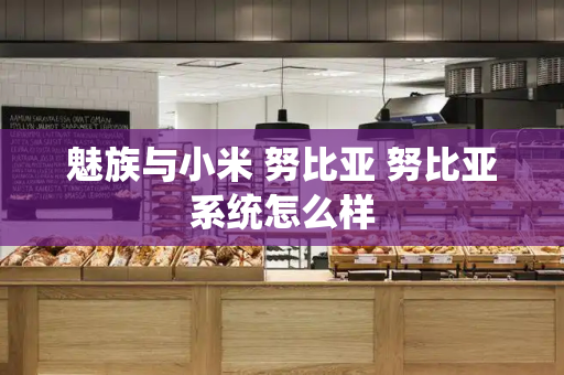 魅族与小米 努比亚 努比亚系统怎么样-第1张图片-星选测评