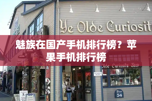 魅族在国产手机排行榜？苹果手机排行榜