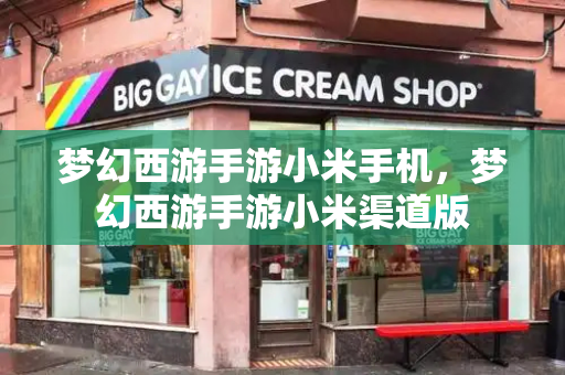 梦幻西游手游小米手机，梦幻西游手游小米渠道版