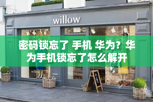 密码锁忘了 手机 华为？华为手机锁忘了怎么解开-第1张图片-星选测评