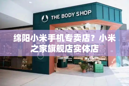 绵阳小米手机专卖店？小米之家旗舰店实体店-第1张图片-星选测评